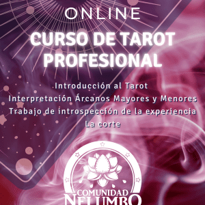 Curso Tarot Profesional