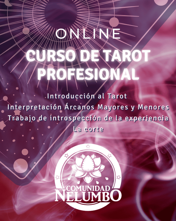 Curso Tarot Profesional